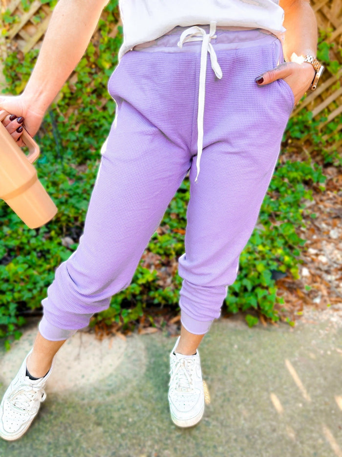 WLM Tommy Two Tone Waffle Front Joggers in Purple